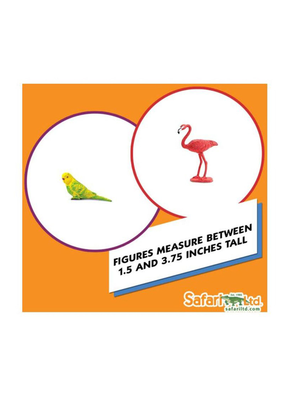 Safari Ltd. Birds Toob Toy Set, 10 Pieces, Ages 3+