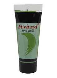 Fevicryl Acrylic Color Tube, 200ml, Olive Green