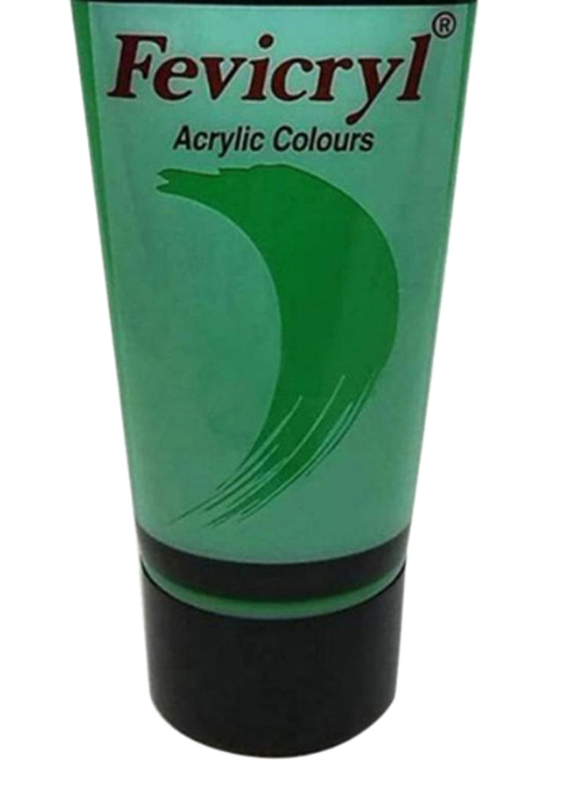 Fevicryl Non-Toxic Acrylic Color Tube, 200ml, Light Green