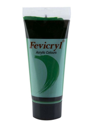 Fevicryl Acrylic Paint Color Tube, 200ml, AC04 Hookers Green