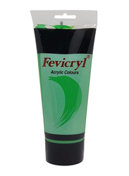 Fevicryl Waterproof Acrylic Colour Tube AC17, 200ml, Cadmium Green