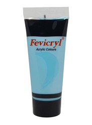 Pidilite Fevicryl Waterproof Color Acrylic Paint, Sky Blue