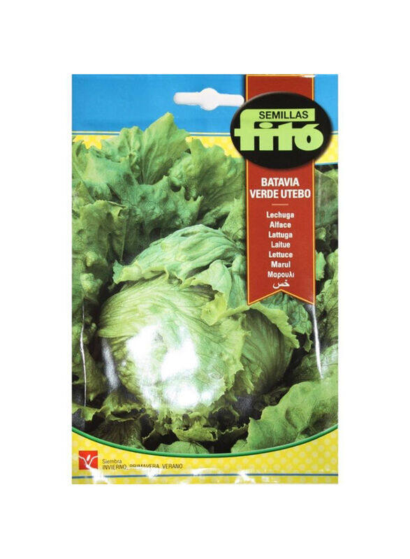 

Fito Semillas Lettuce Webbs Wonderful Seeds, Multicolour