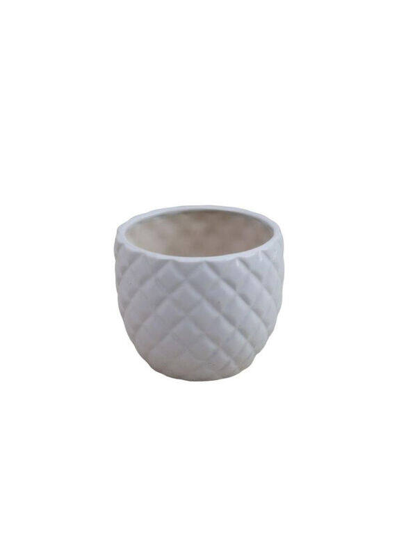 

Ace Pineapple Ceramic Planter, White