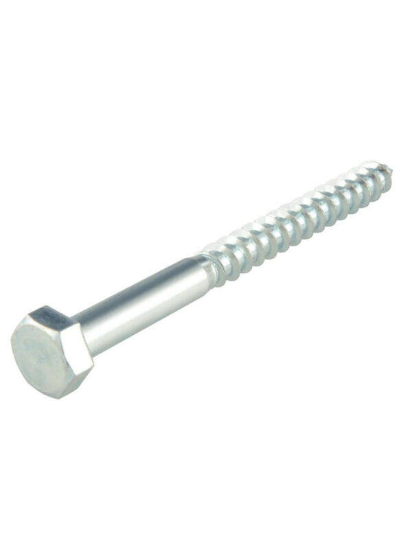 

Suki 10 Piece Zinc Plated Steel Hexagon Wood Screw, Silver