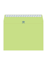 FIS Executive Laid Paper Envelopes Peel & Seal, 12 x 9 Inch, 25 Pieces, Green