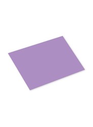 FIS Colored Cards, 100 Piece, 160GSM, 70 x 100cm, FSCH16070100TA, Taro Purple