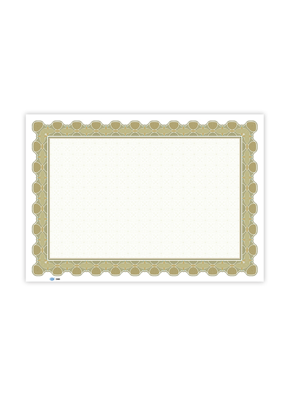 FIS Plain Design Certificate, 10 Sheets, A4 Size, FSCLC003, Multicolour