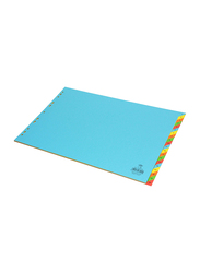 FIS Colour Card Divider with 1-20 Division, 160 GSM, A3 Size, Multicolour