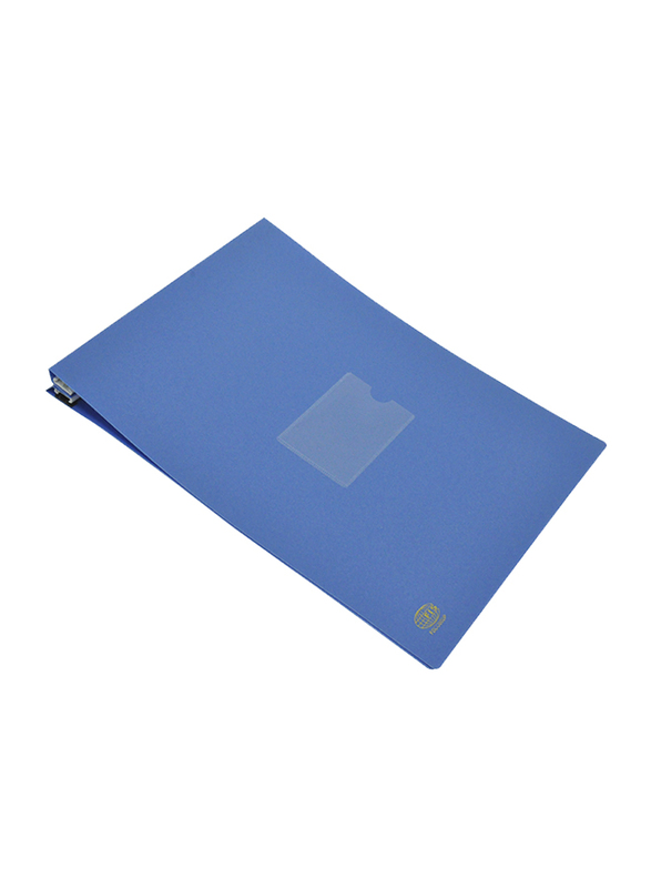 FIS Computer Files with Plastic, 332 x 255mm, Blue