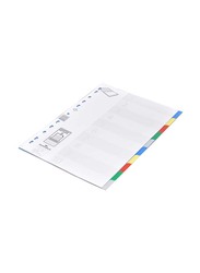 Durable Divider File Folder, A4 Size, 25 Pieces, 10 Sheets, Multicolour