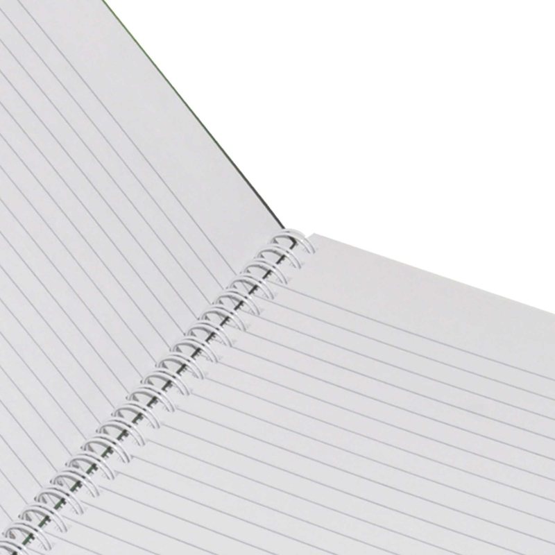 Light Hard Cover Spiral Notebook Set, 100 Sheets, A4 Size, 5 Pieces, LINBSA41001310, Green