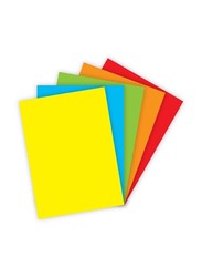 FIS 5 Assorted Colored Cards, 100 Piece, 160GSM, 70 x 100 cm, FSCH16070100AST, Multicolor