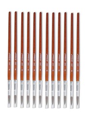 Artmate Artist Brushes Size 9, 12 Pieces, Brown