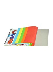 FIS 12-Piece Sketch Book with Spiral Binding, 10 Sheets, 160 GSM, A3 Size, FSSKSCA3101601, Multicolor