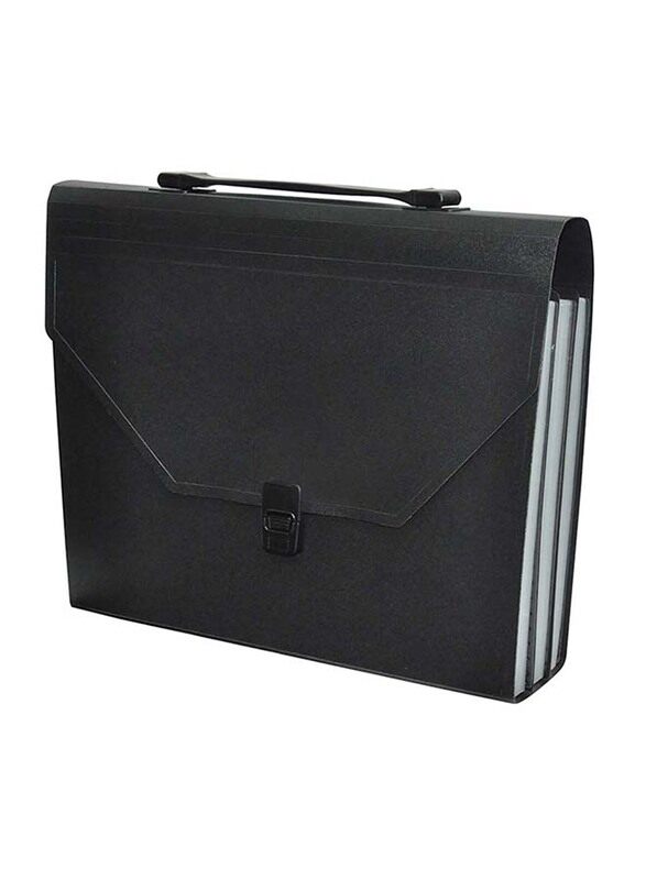 

FIS 36-Pockets Expanding File, 210 x 330mm, FSPG1307BK, Black