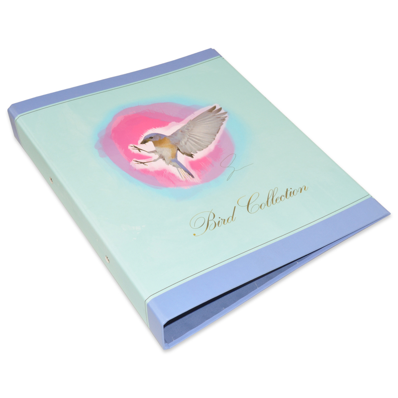 A4 2 O Ring Binder with Printed Birds, 48 Piece, FSBD2A4BC2, Blue/Pink/Green