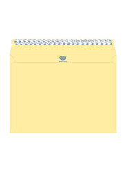 FIS Executive Laid Paper Envelopes Peel & Seal, 12 x 9 Inch, 50 Pieces, Cream