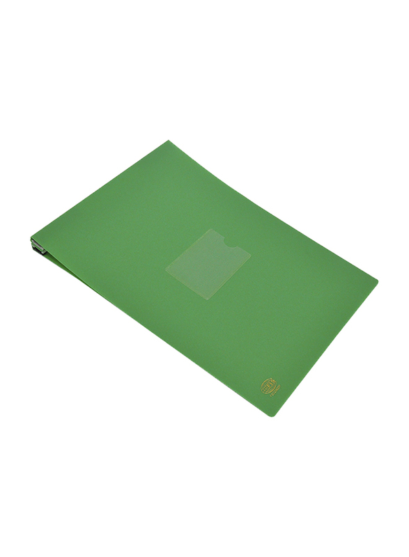 FIS Computer Files with Plastic, 332 x 255mm, Green