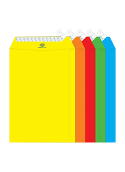 FIS Colour Peel & Seal Envelopes, 50-Piece, 80 GSM, 9 x 6-Inch, Neon Assorted