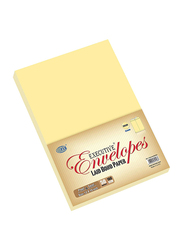 FIS Executive Laid Paper Envelopes Peel & Seal, 12 x 10 Inch, 50 Pieces, Cream