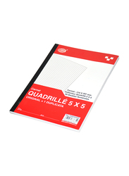 FIS French Duplicate Book, 5mm Square, A4 Size