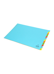 FIS Colour Card Divider with 1-12 Division, 160 GSM, A3 Size, Multicolour