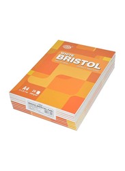 FIS 10-Piece Bristol Pad Set, 20 Sheets, A4 Size, FSPDA4240-20, White
