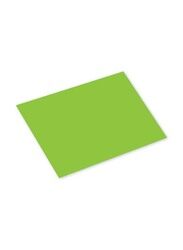 FIS Colored Cards, 100 Piece, 160GSM, 70 x 100cm, FSCH16070100PT, Parrot Green