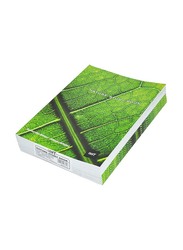 Light Nature Study Book, 12-Piece, 210 x 297mm, 40 Sheets, A4 Size, LIEBA4NS16, Green