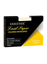 FIS Executive Laid Paper Envelopes Peel & Seal, 12.75 x 9.01 inch, 25 Pieces, Camelle off White