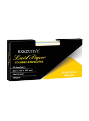 FIS Executive Laid Paper Envelopes Peel & Seal, 4.52 x 8.85 inch, 25 Pieces, Assorted