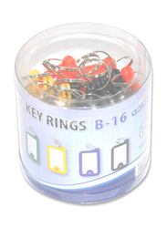 FIS Key Rings, 25 Pieces, FSKCB-16, Assorted Colours