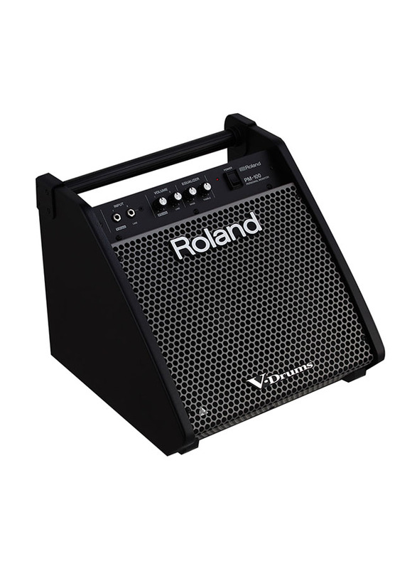 Roland PM-100 Personal Monitor, Black