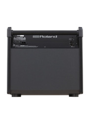 Roland PM-200 Personal Monitor, Black