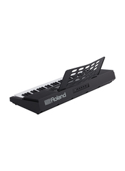 Roland E-X20 Arranger Keyboard, 61 Keys, Black
