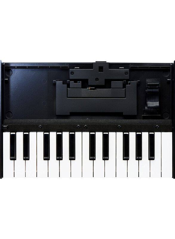 

Roland K-25M Keyboard Unit, 25 Keys, Black