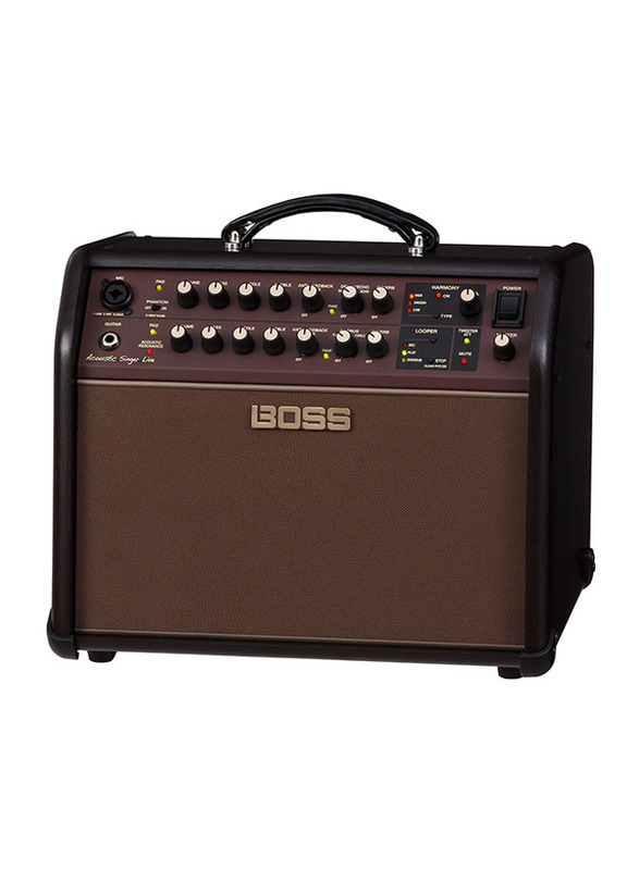 Boss ACS-LIVE Acoustic Singer Live Amplifier, Brown