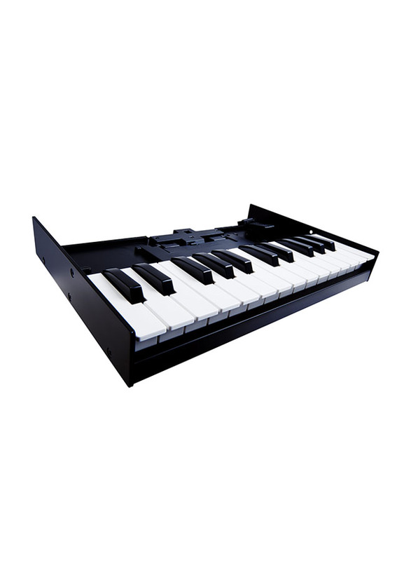Roland K-25M Keyboard Unit, 25 Keys, Black