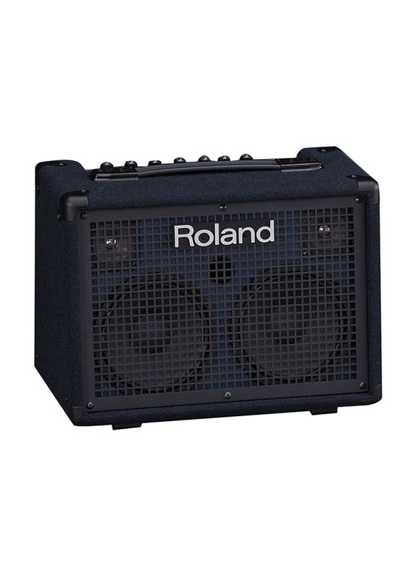 Roland KC-220 Battery Powered Stereo Keyboard Amplifier, Black
