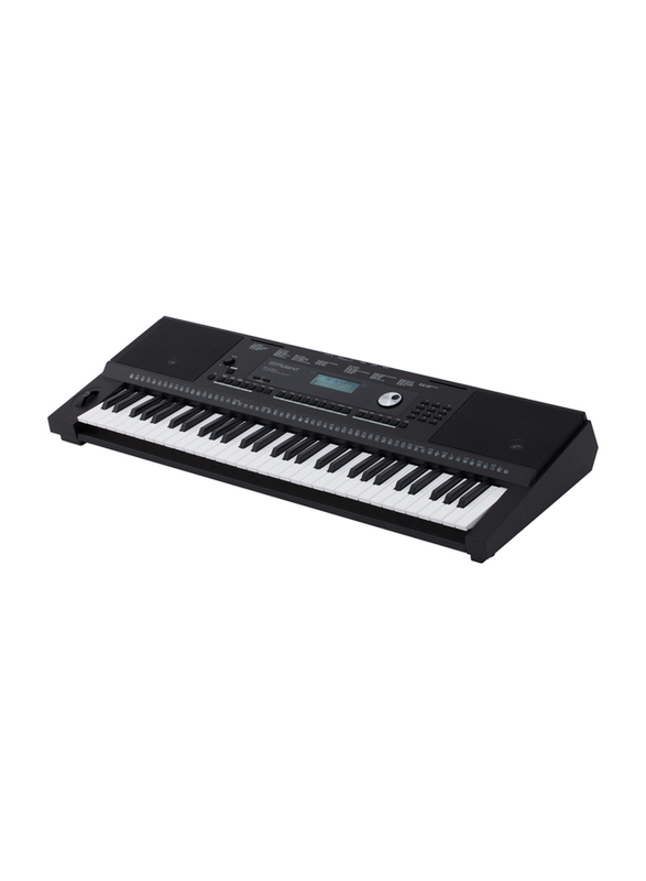 Roland E-X20 Arranger Keyboard, 61 Keys, Black