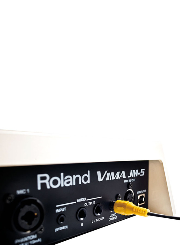 Roland Vima JM-5 Entertainment Module, Black/Silver