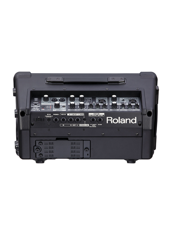 Roland CUBE-STEX Battery Powered Stereo Amplifier, Black