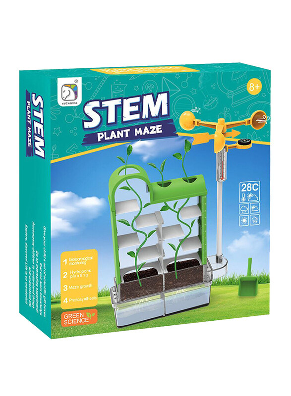 

Stem Plant Maze Green Science Experiment Kit, Ages 8+