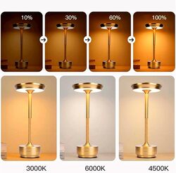 HOCC Luminous Elegance Table Lamp Gold