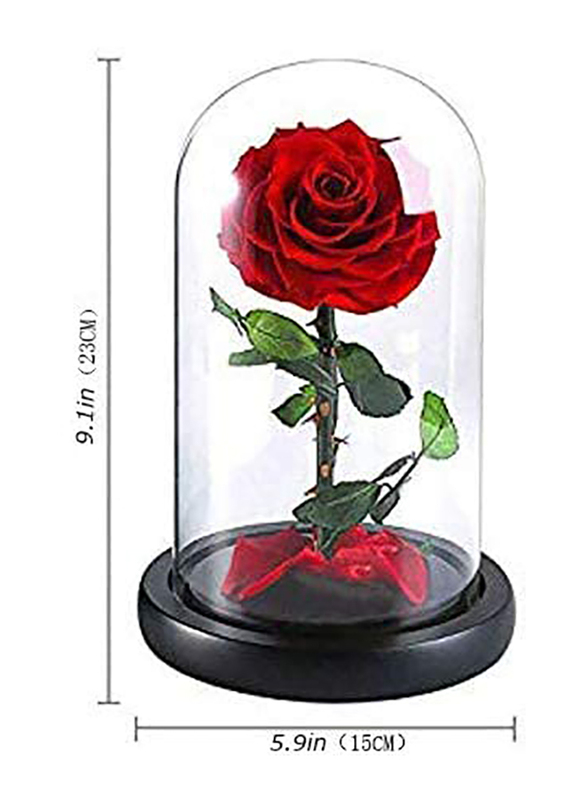 Eternal Handmade Glass Preserved Flowers, Red