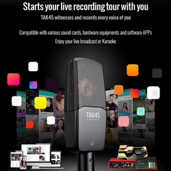Takstar TAK45 Recording Microphone, Black