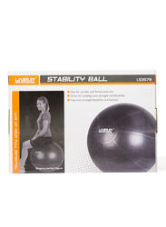 Live Up Stability Ball with Pump, Grey