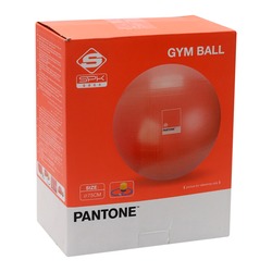 Pantone Gym Ball Set, Coral