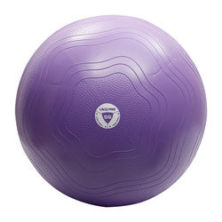 Livepro Anti-Burst Core-Fit Exercise Ball, 55cm, LP8201, Purple